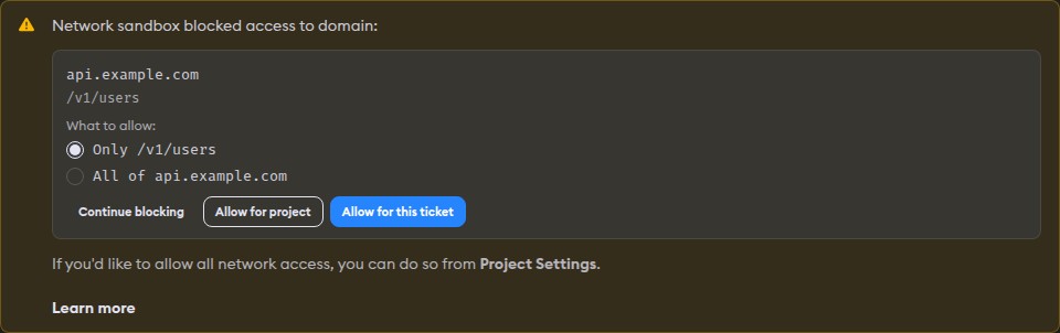Network sandbox warning in chat with domain-level actions