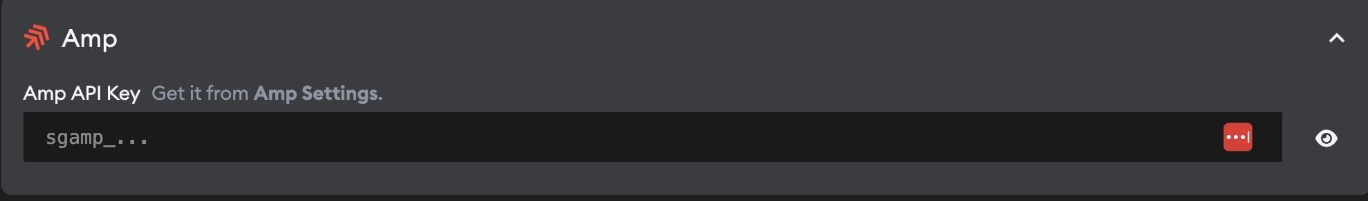 Amp API key configuration showing the settings input field