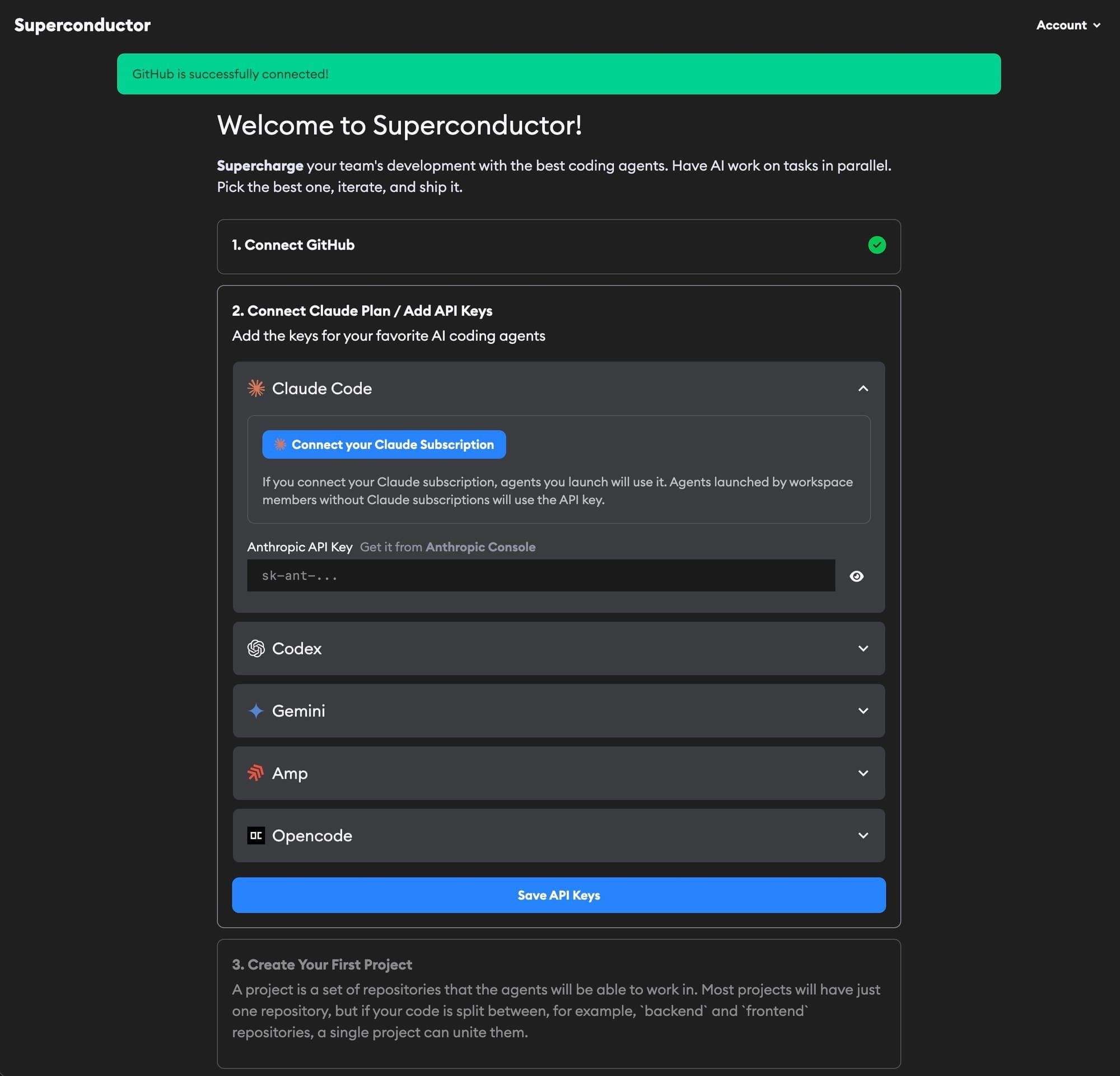 API keys configuration step with Claude Code, Codex, Gemini, Amp, and Opencode options