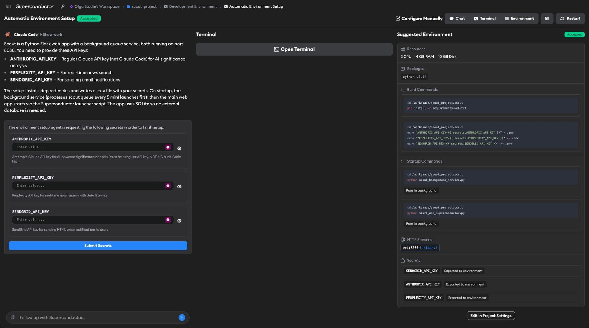 Automatic Environment Setup showing the three-pane UI with chat, terminal, and suggested environment configuration